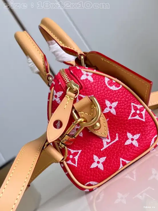 LOUIS SPEEDY 18 VUITTON 0508